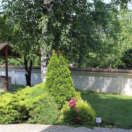 Хотел Ради Сапарева Баня Екстериор снимка